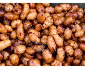 Тигровый орех варёный Carpidea 1кг